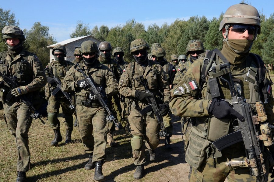 Леонков: Польская и румынская армии представляют опасность для России